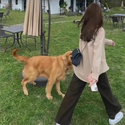 美国起义