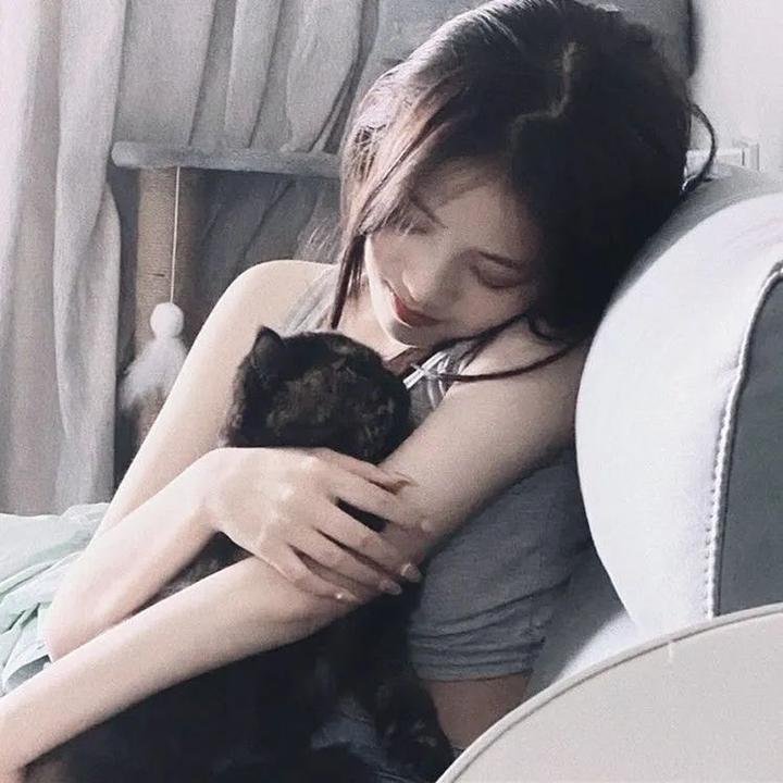 盗影谜情